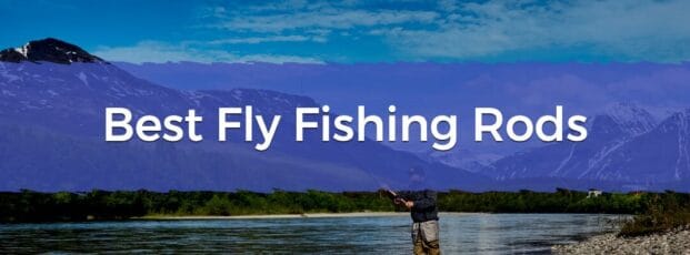 Best Fly Fishing Rods