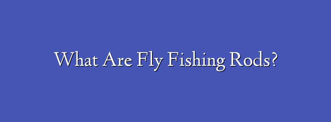 What Are Fly Fishing Rods?